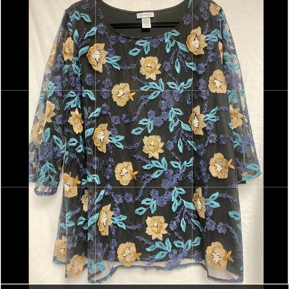 Beautiful NWOT TOP WOMEN'S PLUS SIZE 2X black under shirt w/ blue nylon over top - Picture 1 of 6